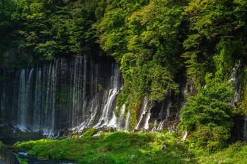 白糸の滝　静岡県