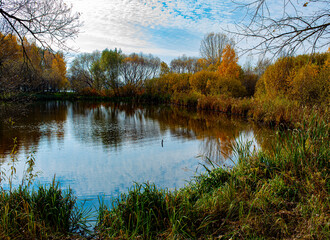 autumn trees reflected in water