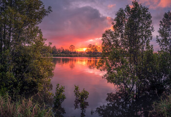 Fototapeta na wymiar Beautiful Riverside Sunset with Cloud Reflections Framed by Mangoves