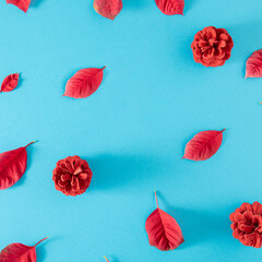 pattern made with christmas red star flower against pastel blue background with copy space. modern creative flatlay