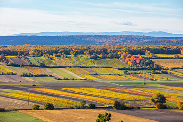 Fototapeta premium colorful autumn landscape