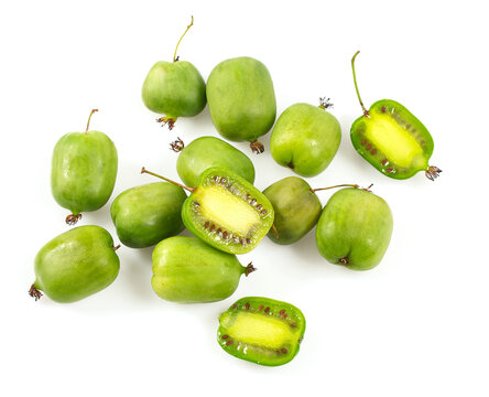 actinidia isolated on white background, close up