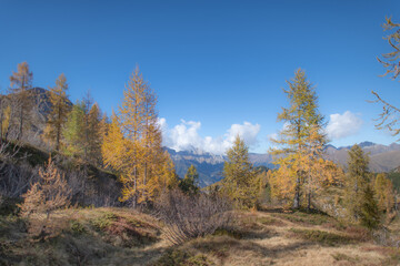 Fototapeta na wymiar Landscape or mountain with autumn larches.jpg