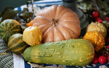 Many kinds of pumpkins on the table