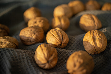 Nueces en paño de cocina. Varias Nueces sobre trapo. Grupo de nueces. Nut, Walnut, Cobnut