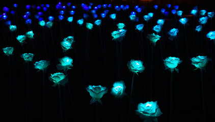 Night view of the pale blue flower-shaped lights in the plaza