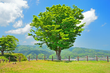 月山富田城　緑の風景　島根県安来市