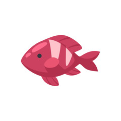 Red Sea Fish Composition