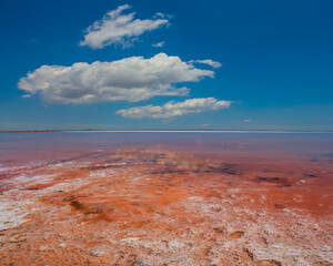 small pink lake under a cloudy sky