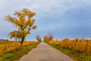 asphalt road among dry prairie under a cloudy sky