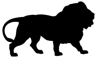 Black and white vector silhouette of an adult African lion. Isolated on white background.