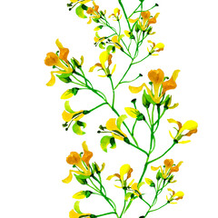 Yellow wildflowers watercolor stripe on white background seamless pattern for all prints.