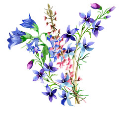 Wildflowers blue and pink bouquet watercolor isolated on white background illustration for all prints.