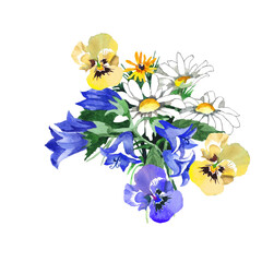 Wildflowers bouquet watercolor isolated on white background illustration for all prints.