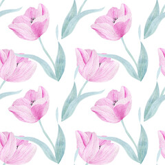 Delicate pink tulip. Flower petals. Watercolor illustration for congratulations, invitations, perfumery products. Seamless pattern.
