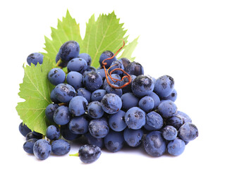 Grapes on a white background
