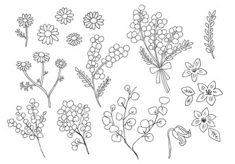 手描きの花・植物イラストセット線画（モノクロ）