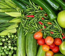 The vegetables set is comprised of variety of organic vegetables and herbs, such as: Winged beans, cucumbers, turkey berry, lemons, tomatoes and chili. Vegetable set in basket.