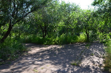 An alley with crossing