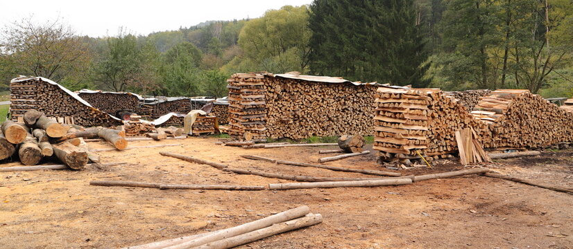 many split wood as firewood