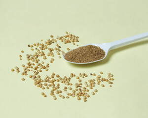 Coriander mockup. Coriander has a distinctive aroma from the chemical components present in coriander essential oil. Coriander is grown in the gardens of lowland and mountainous areas. Focus blur.