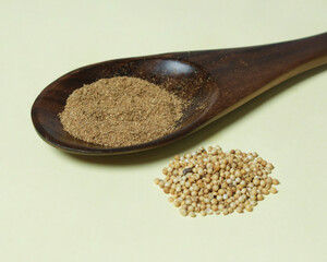 Coriander mockup. Coriander has a distinctive aroma from the chemical components present in coriander essential oil. Coriander is grown in the gardens of lowland and mountainous areas. Focus blur.