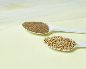 Coriander mockup. Coriander has a distinctive aroma from the chemical components present in coriander essential oil. Coriander is grown in the gardens of lowland and mountainous areas. Focus blur.