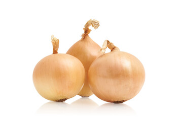 Fresh and ripe onion on white isolated background