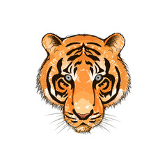 Hand drawn watercolor tiger illustration