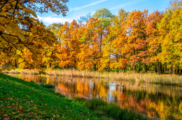 Obraz premium Alexander park in autumn, Pushkin (Tsarskoe Selo), St. Petersburg, Russia