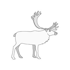 vector north animal nature reindeer cold tundra lanland sign winter symbol 