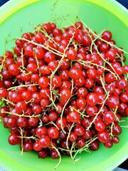 cherries in a bowl