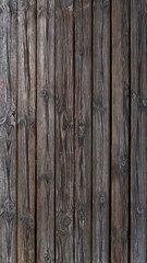Brown aged wood texture with veins