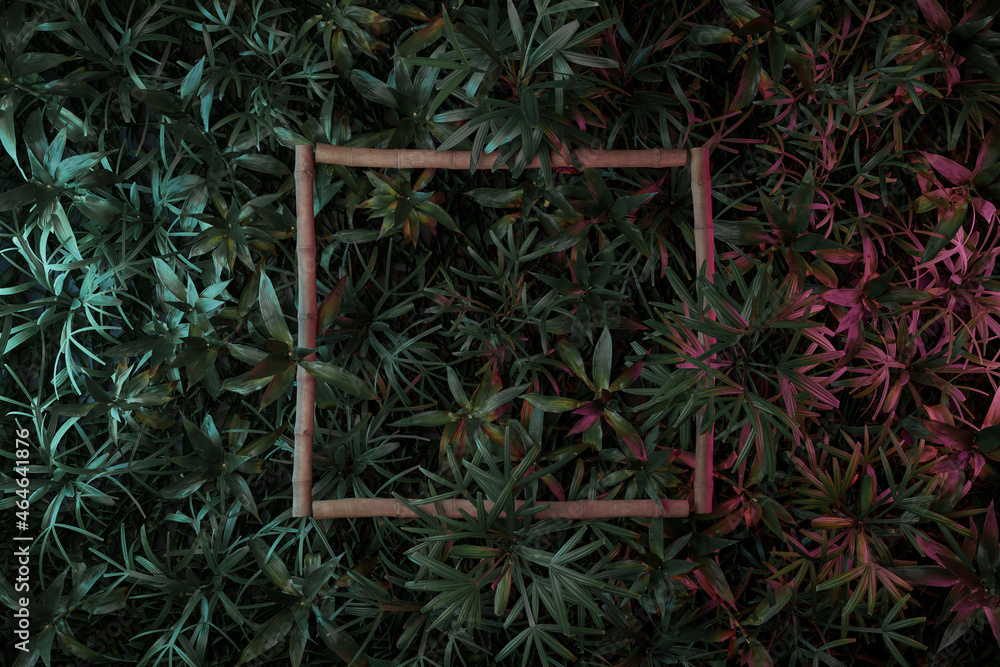 Poster 3d rendering of bamboo stick square shape covered by bamboo leaves. flat lay of minimal far eastern 