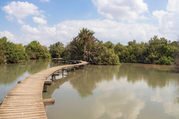 View of pond with trees around with clouds reflecting in the water.