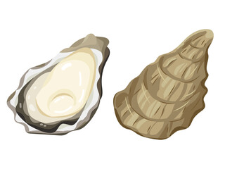 牡蠣　oyster  vector illustration - obrazy, fototapety, plakaty