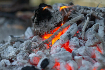 Barbeque time , fire and carbon