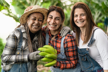Happy farmers having fun working in bananas plantation - Farm people lifestyle concept - obrazy, fototapety, plakaty