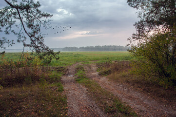 Obraz premium Country road to the autumn field