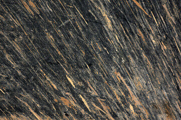 Dry mud stains on black, dry mud on car paint