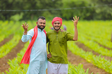 Young indian farmers at green turmeric agriculture field.