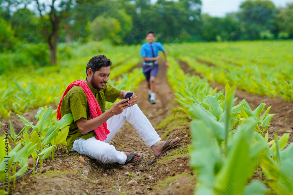 Wall mural Indian farmer using smartphone with his child at green turmeric agriculture field.