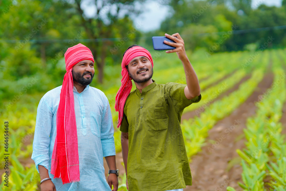 Canvas Prints Indian farmer using smartphone at green turmeric agriculture field.