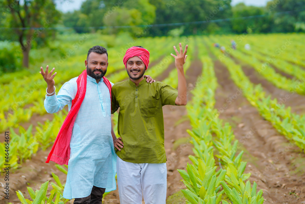 Poster Young indian farmers at green turmeric agriculture field.