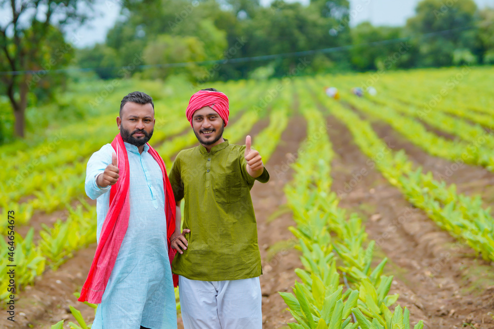 Sticker Young indian farmers showing thumps up at green turmeric agriculture field.