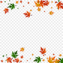 Brown Plant Background Transparent Vector. Leaf Flag Template. Orange September. Fall Pattern. Yellow Maple Paper.