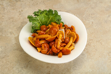 Marinated mushroom - honey agaric in the bowl