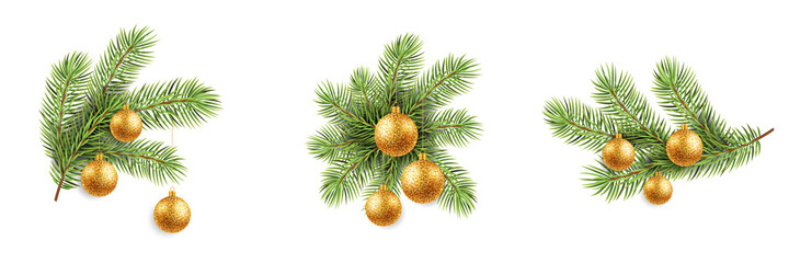 Fototapeta premium Green fir branches of isolated on white background. Christmas gold ball, vector illustration.