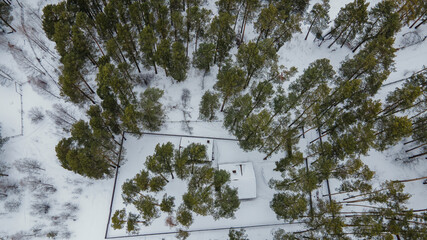 Top view of snow-covered houses in a cottage and suburban village. snowy trees, winter in siberia