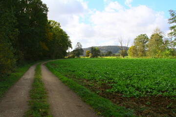 herbst